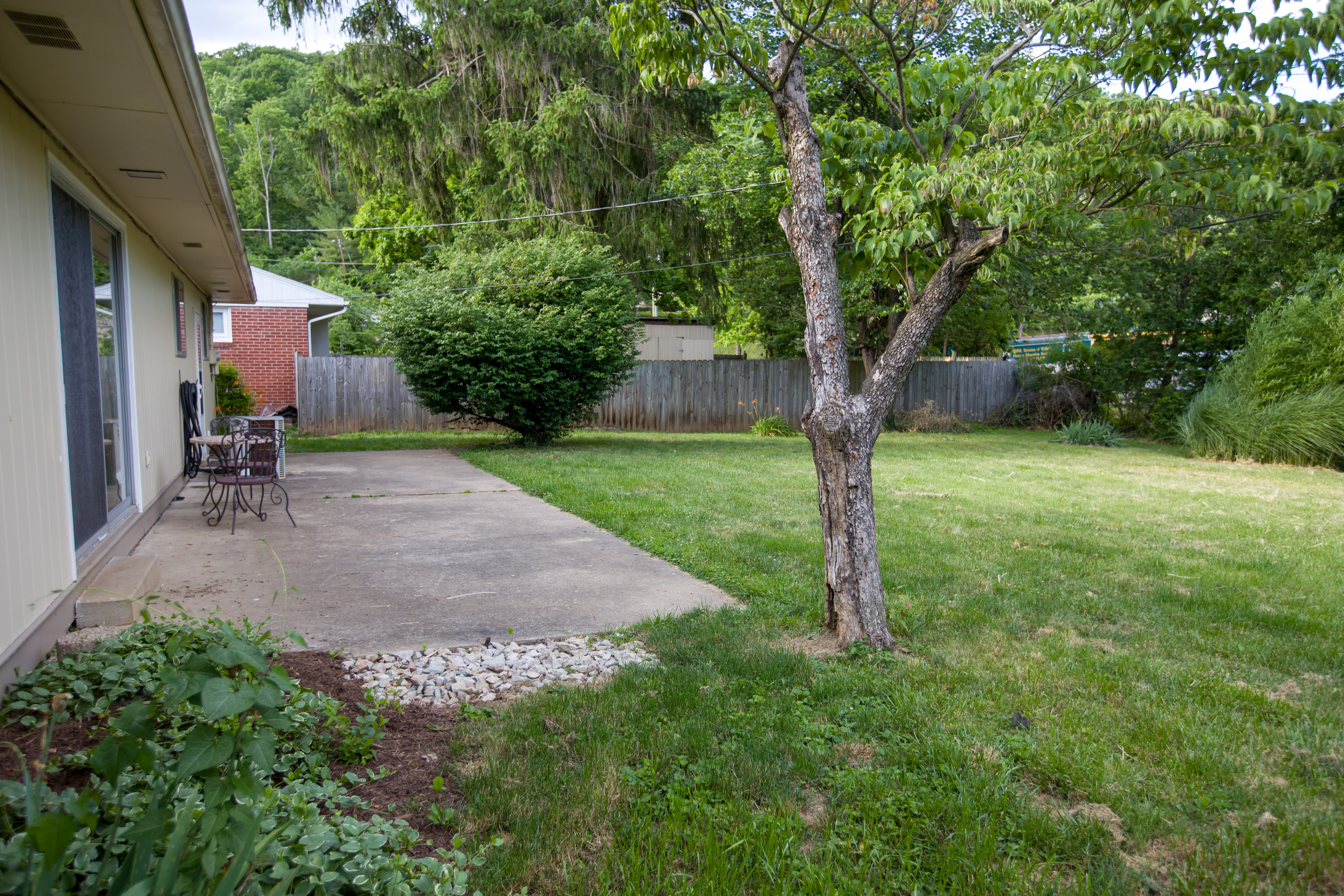 Backyard